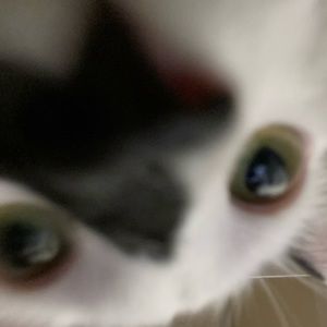 Meet your Posher, Kaitlin